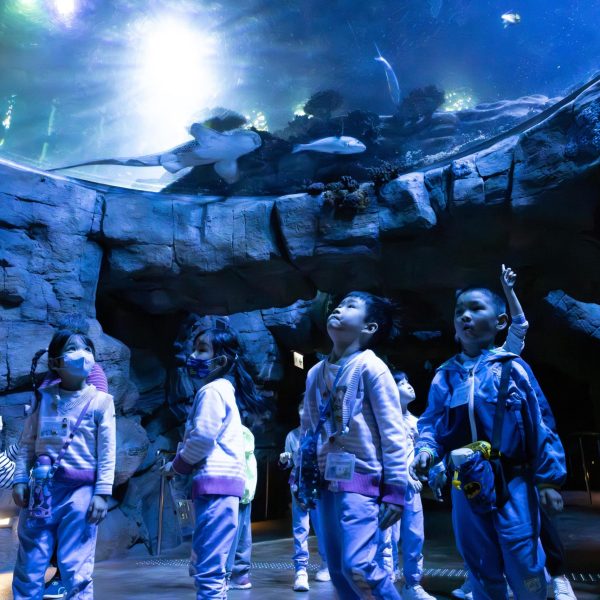 KCBCKG Ocean Park-20240321-104