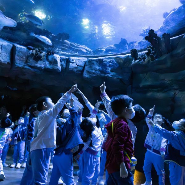 KCBCKG Ocean Park-20240321-114