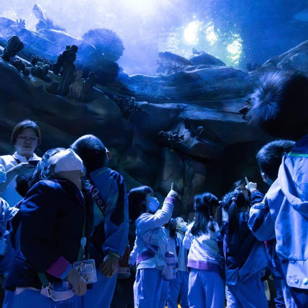 KCBCKG Ocean Park-20240321-116