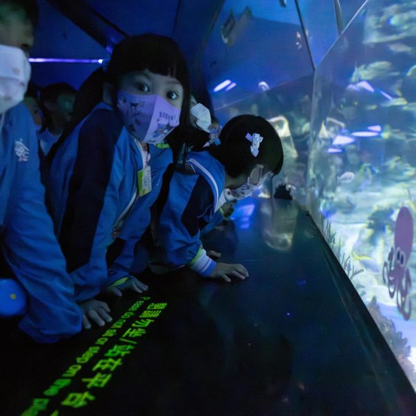 KCBCKG Ocean Park-20240321-170