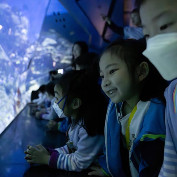 KCBCKG Ocean Park-20240321-179