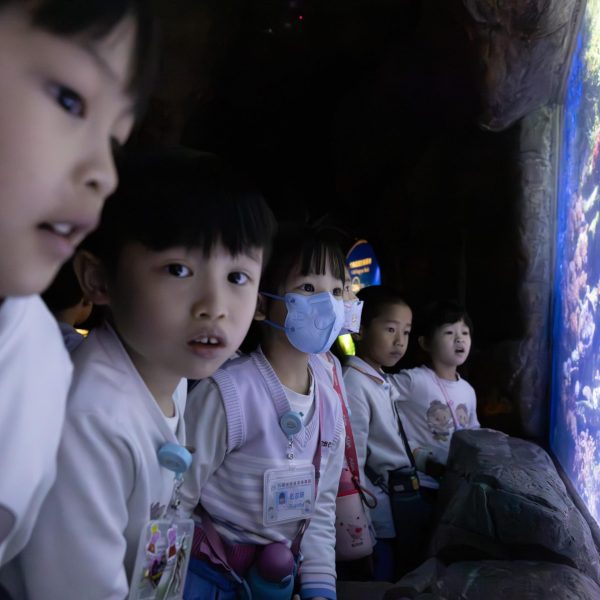 KCBCKG Ocean Park-20240321-73